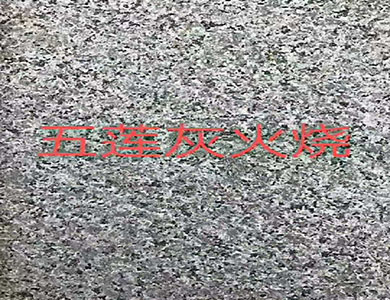 3901.jpg