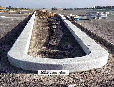 3902.jpg