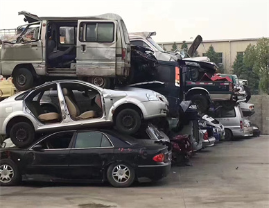 a1eceffd-f2ea-4caf-bd9d-c4f2e0779967.jpg