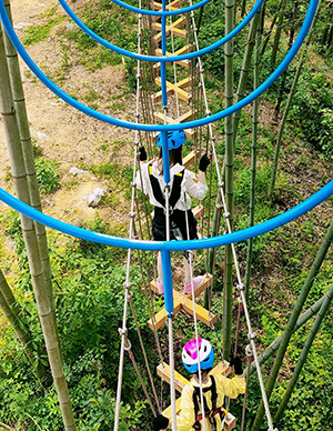 丛林穿越4.jpg